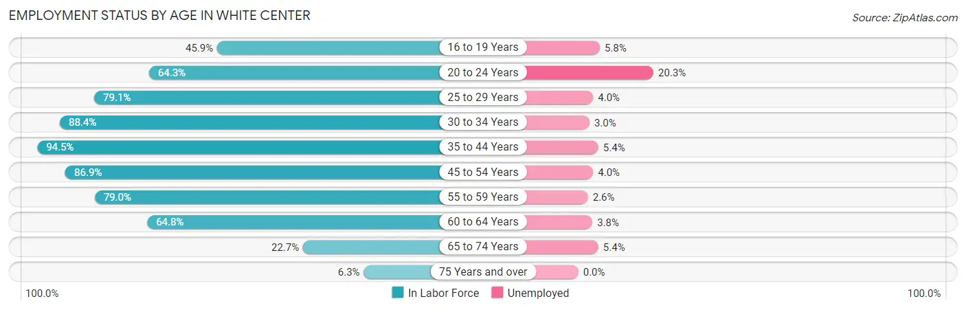 Employment Status by Age in White Center