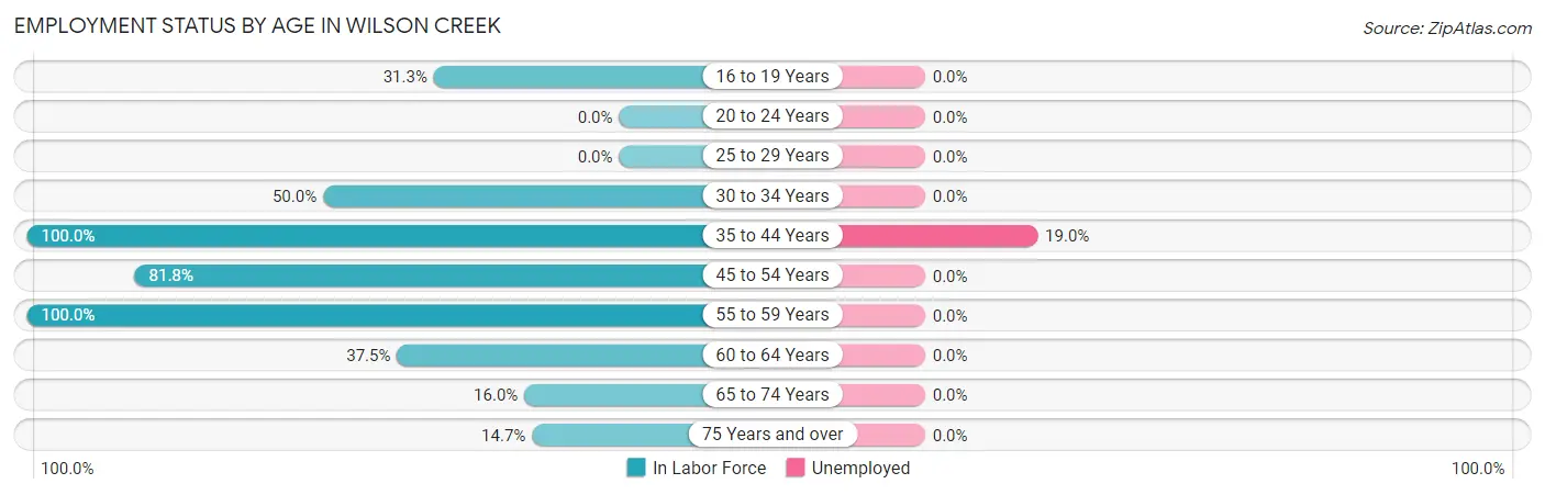 Employment Status by Age in Wilson Creek