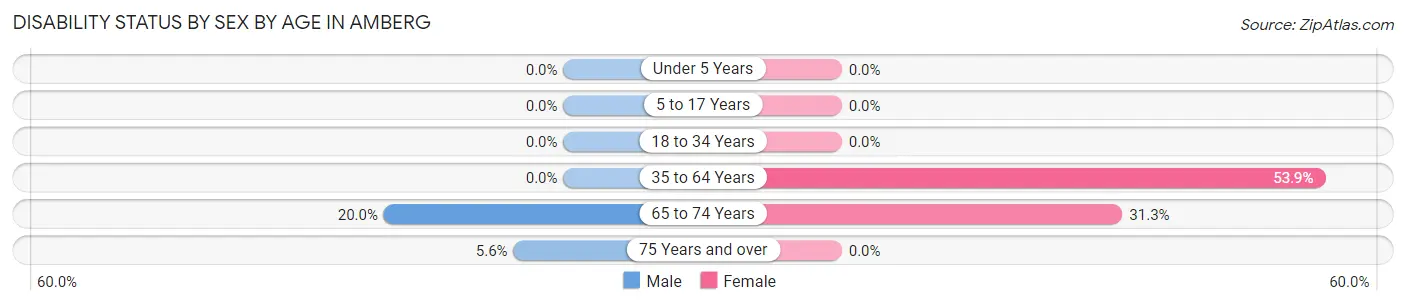 Disability Status by Sex by Age in Amberg