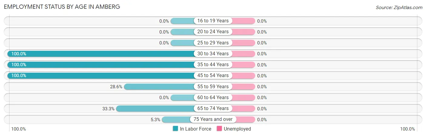 Employment Status by Age in Amberg