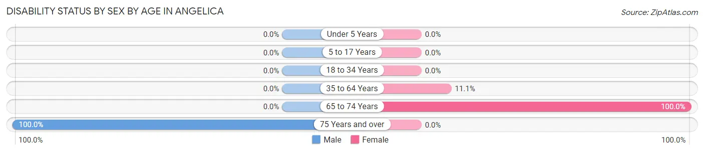 Disability Status by Sex by Age in Angelica