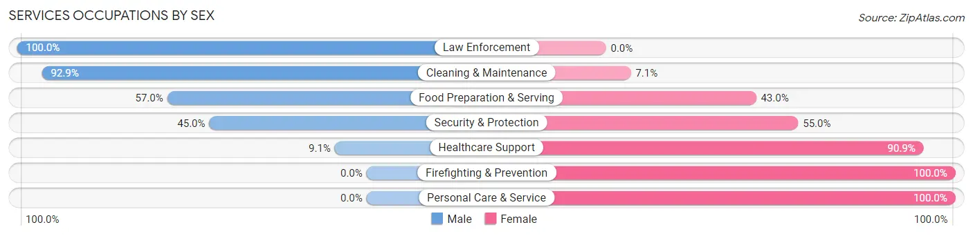 Services Occupations by Sex in Antigo