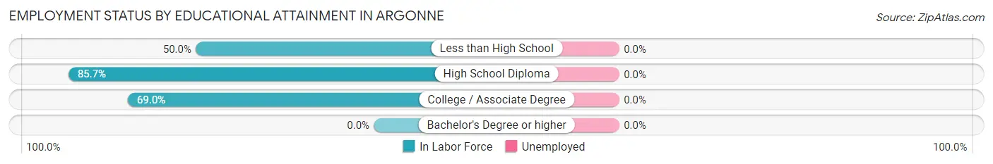 Employment Status by Educational Attainment in Argonne
