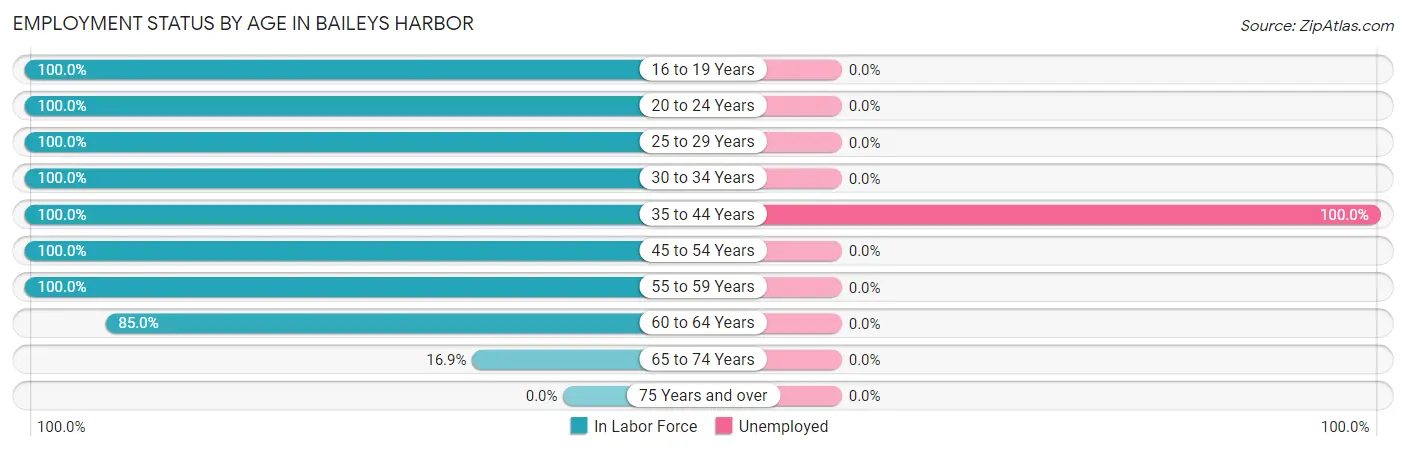 Employment Status by Age in Baileys Harbor