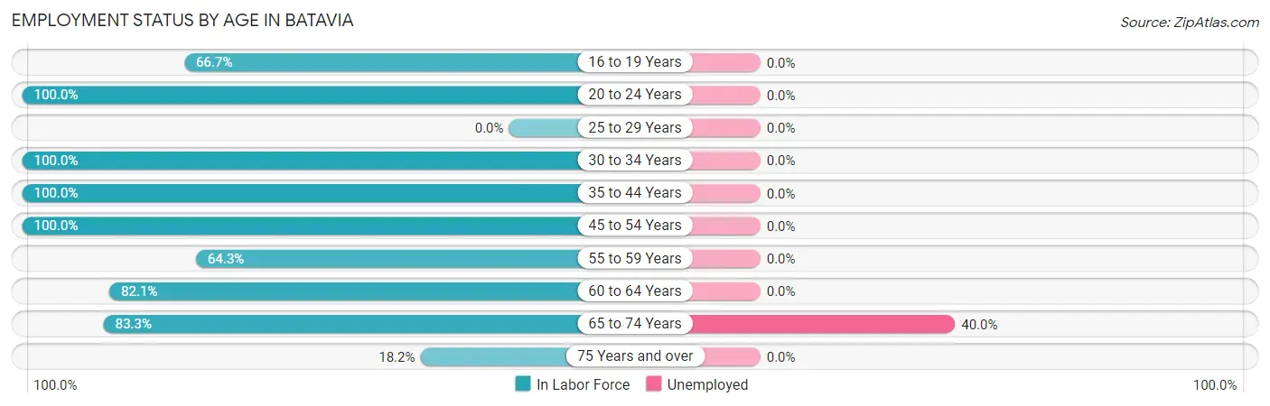 Employment Status by Age in Batavia