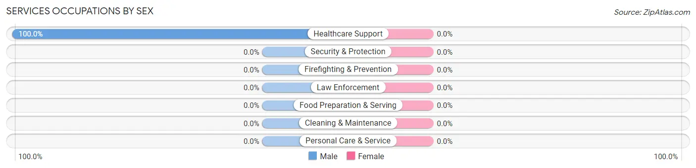 Services Occupations by Sex in Bayfront