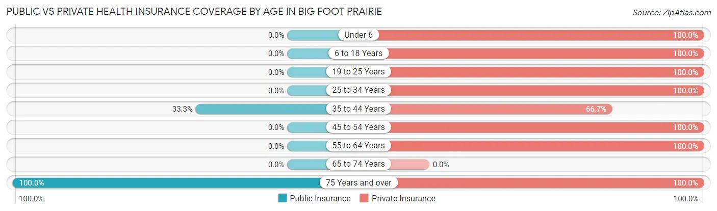 Public vs Private Health Insurance Coverage by Age in Big Foot Prairie