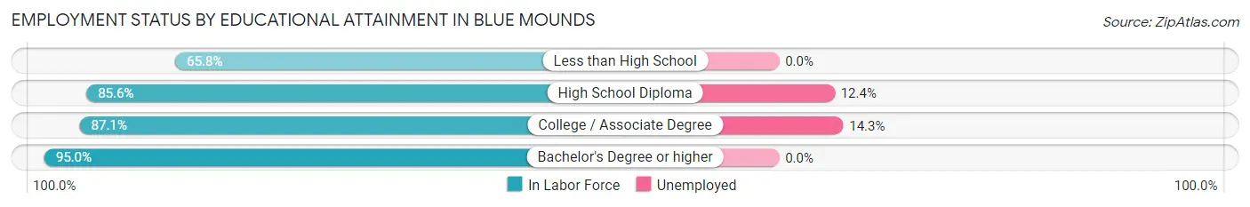 Employment Status by Educational Attainment in Blue Mounds