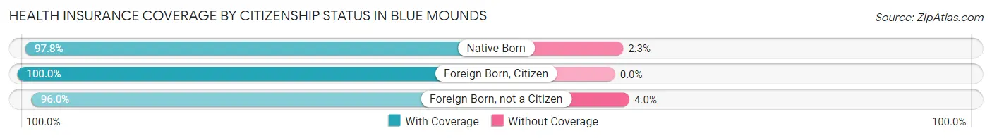 Health Insurance Coverage by Citizenship Status in Blue Mounds