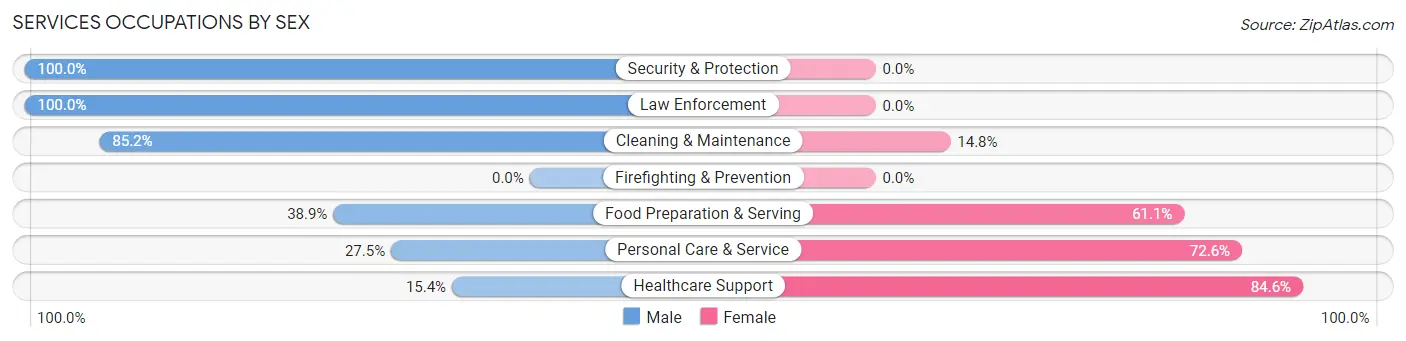 Services Occupations by Sex in Blue Mounds