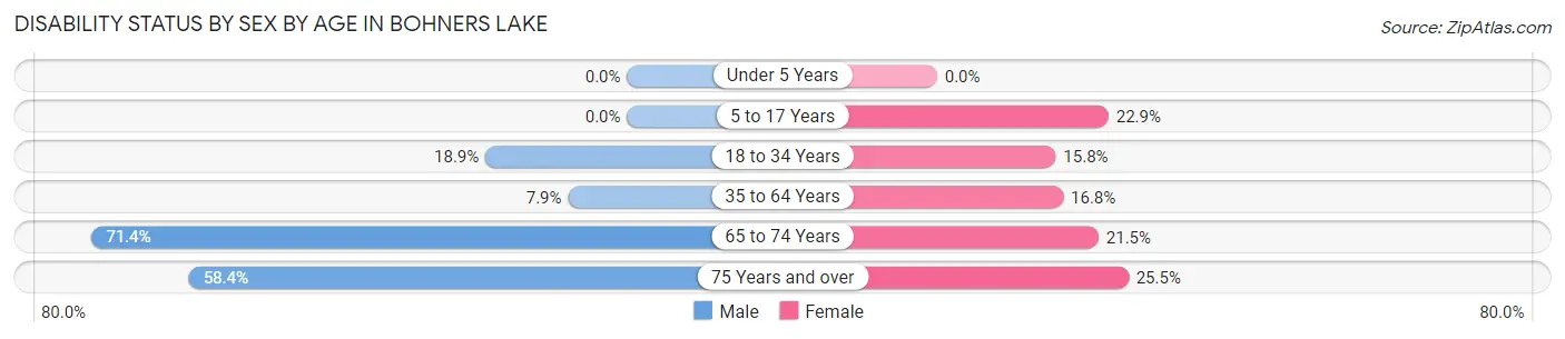 Disability Status by Sex by Age in Bohners Lake