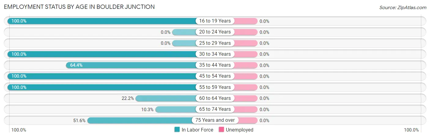 Employment Status by Age in Boulder Junction