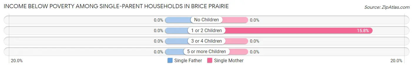 Income Below Poverty Among Single-Parent Households in Brice Prairie