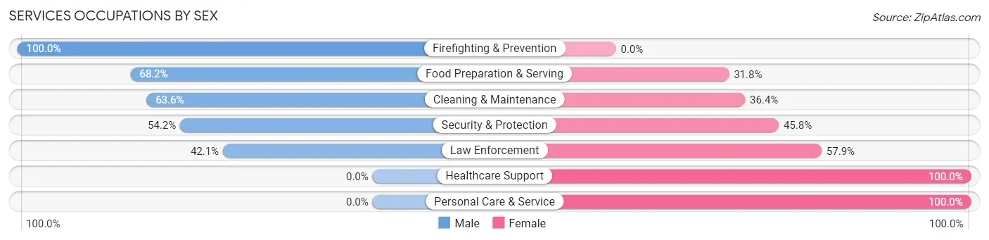 Services Occupations by Sex in Brooklyn