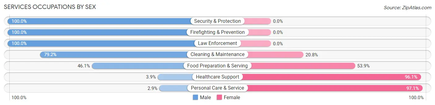 Services Occupations by Sex in Brown Deer