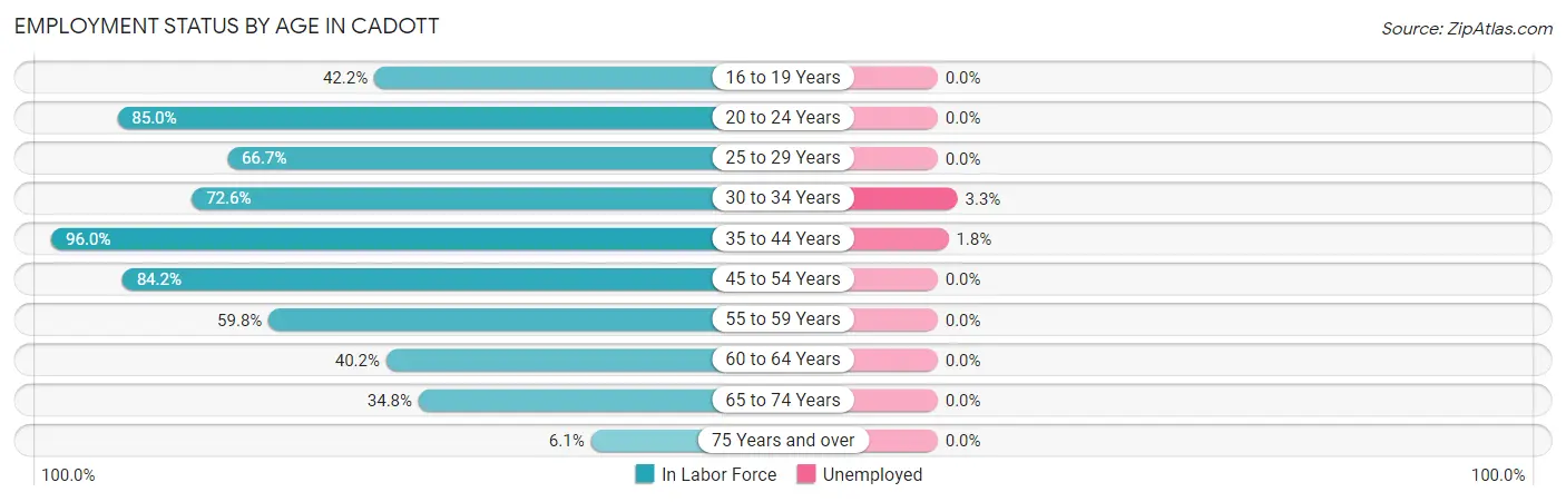 Employment Status by Age in Cadott