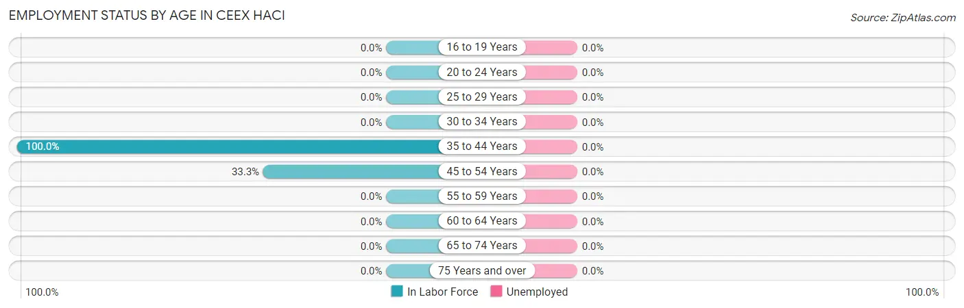 Employment Status by Age in Ceex Haci