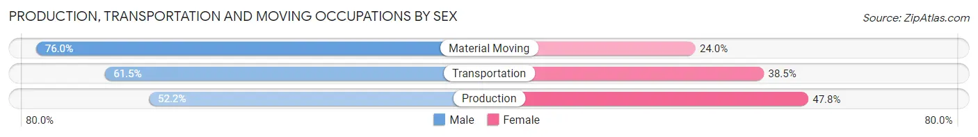Production, Transportation and Moving Occupations by Sex in Delavan Lake