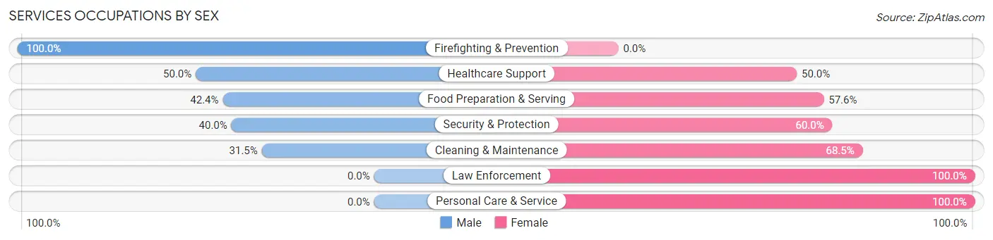 Services Occupations by Sex in Delavan Lake