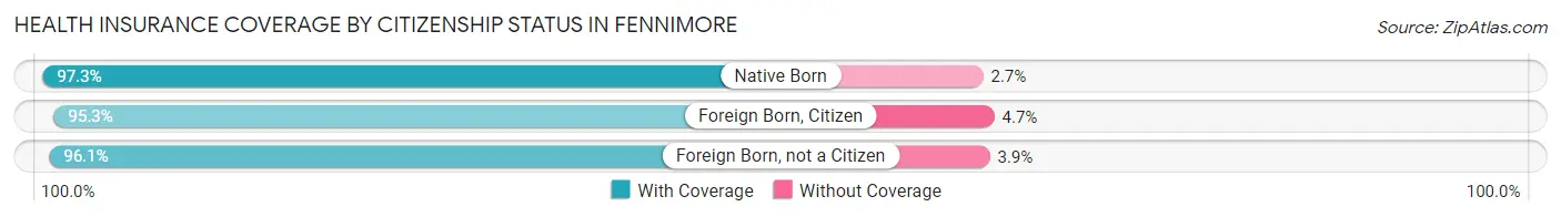 Health Insurance Coverage by Citizenship Status in Fennimore