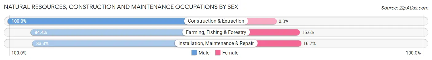 Natural Resources, Construction and Maintenance Occupations by Sex in Fennimore