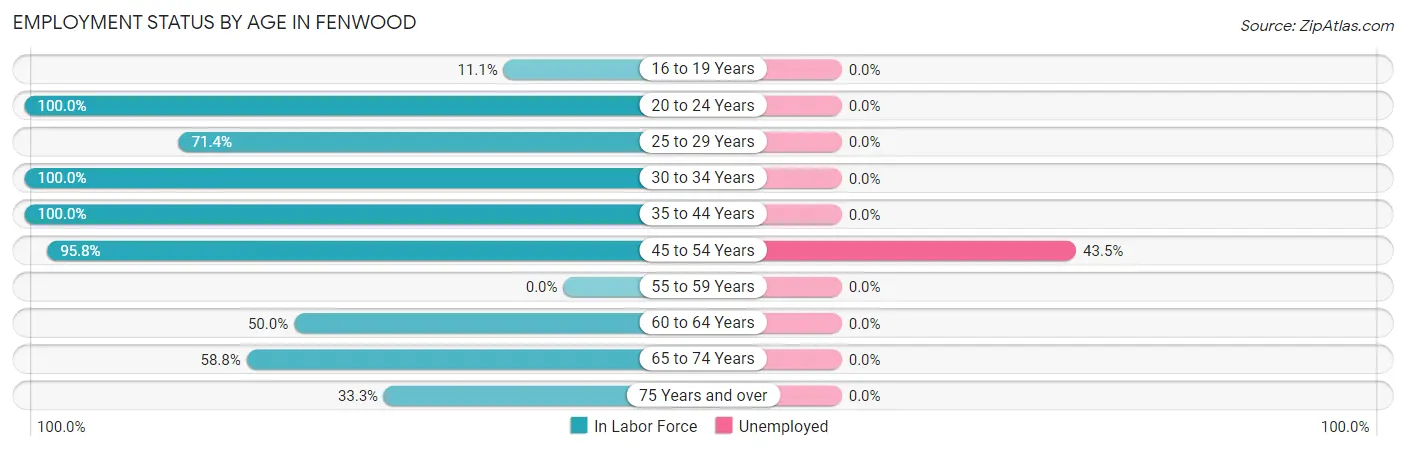 Employment Status by Age in Fenwood
