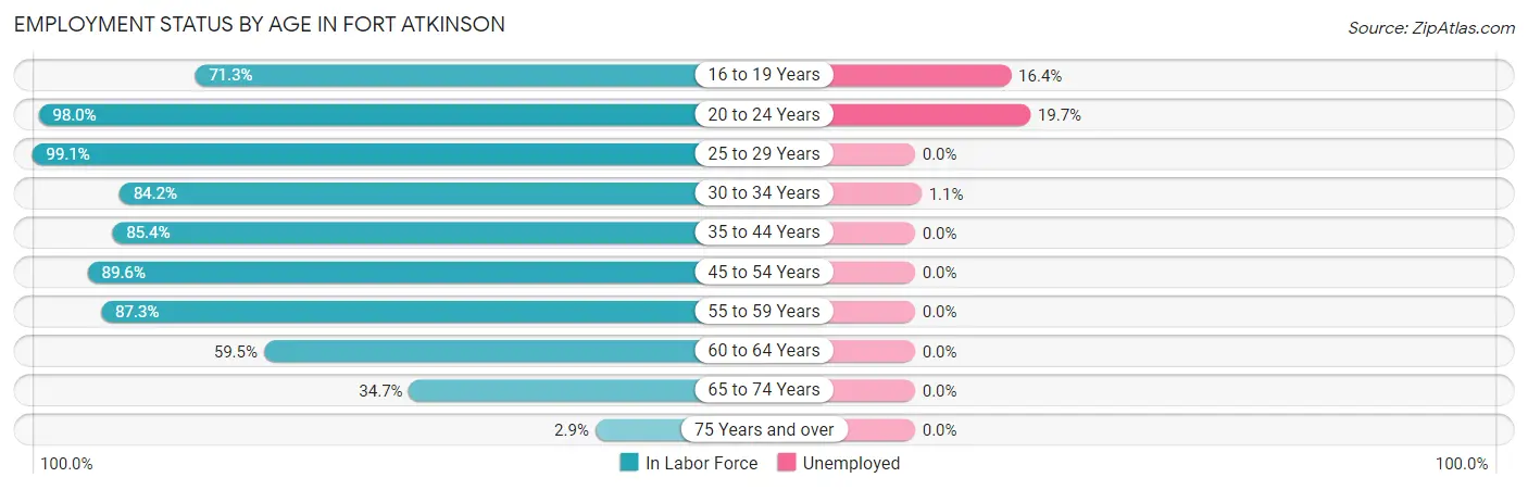 Employment Status by Age in Fort Atkinson