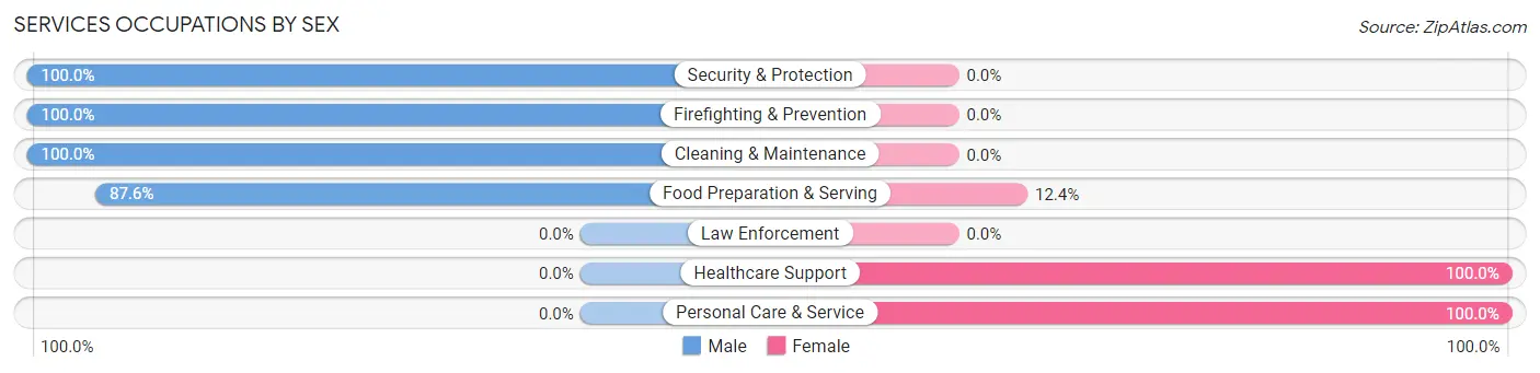 Services Occupations by Sex in Genoa City