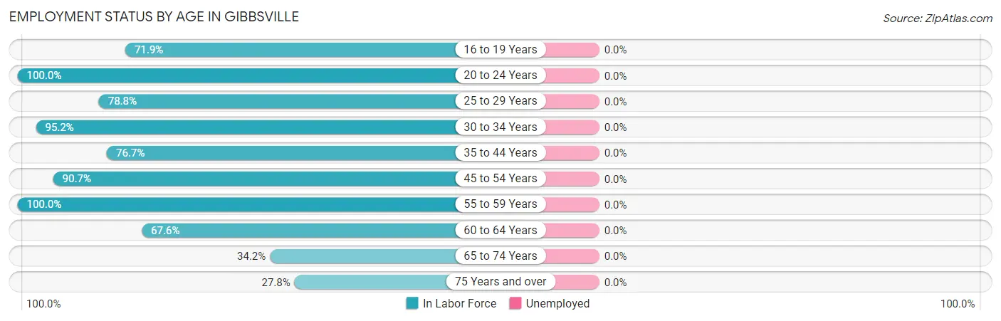Employment Status by Age in Gibbsville