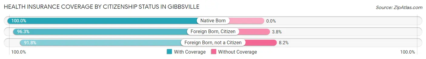 Health Insurance Coverage by Citizenship Status in Gibbsville