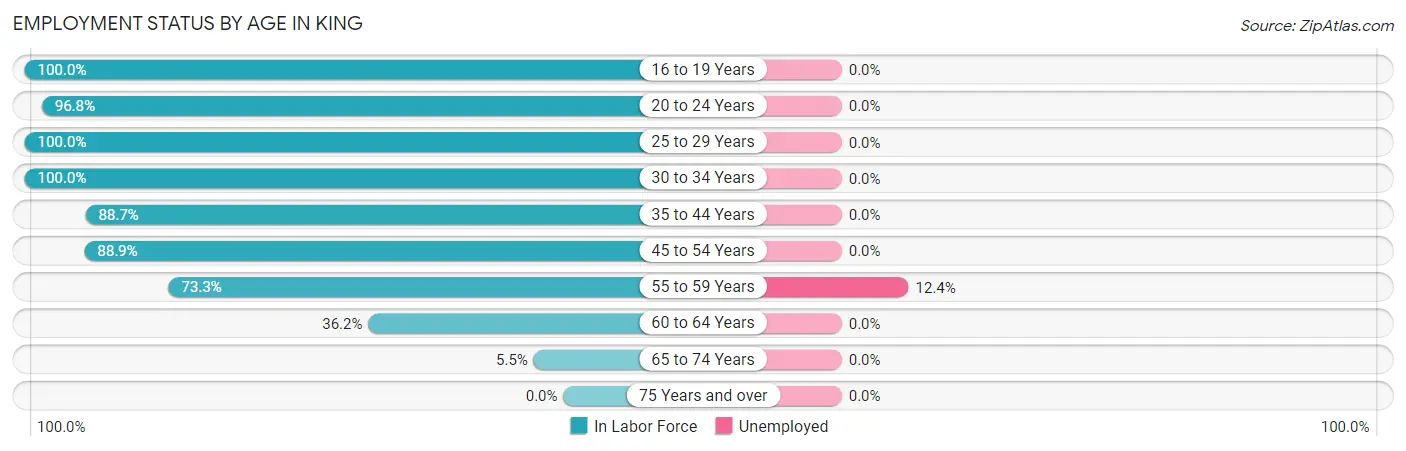 Employment Status by Age in King