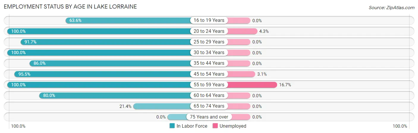 Employment Status by Age in Lake Lorraine