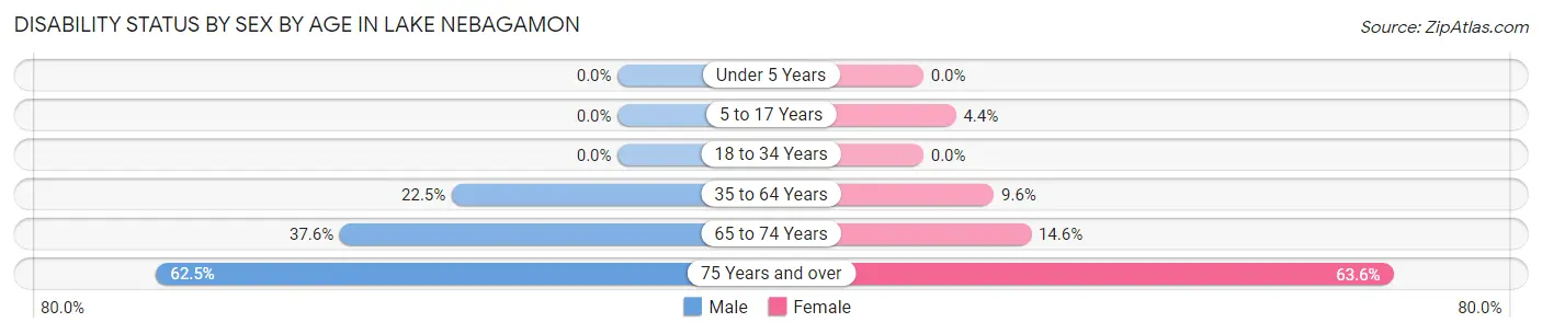 Disability Status by Sex by Age in Lake Nebagamon