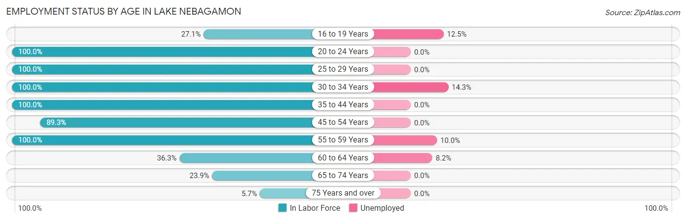 Employment Status by Age in Lake Nebagamon
