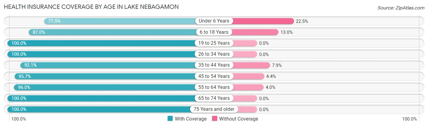 Health Insurance Coverage by Age in Lake Nebagamon