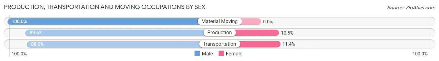 Production, Transportation and Moving Occupations by Sex in Lake Nebagamon