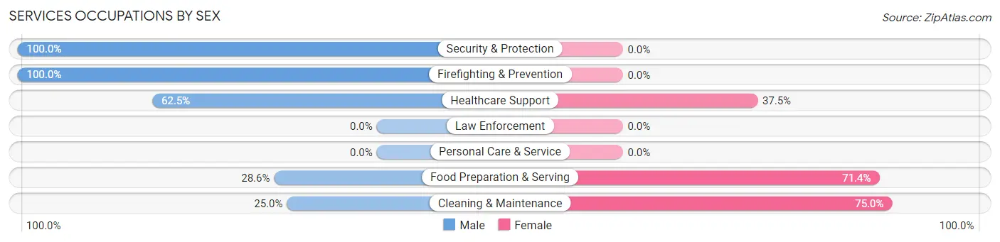 Services Occupations by Sex in Lake Nebagamon