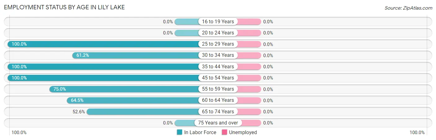 Employment Status by Age in Lily Lake