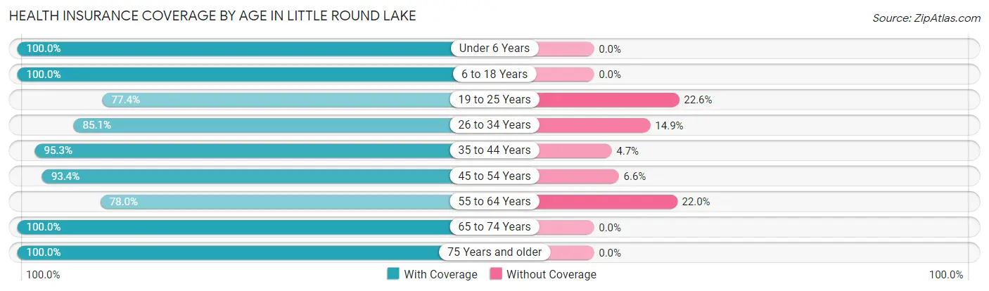 Health Insurance Coverage by Age in Little Round Lake