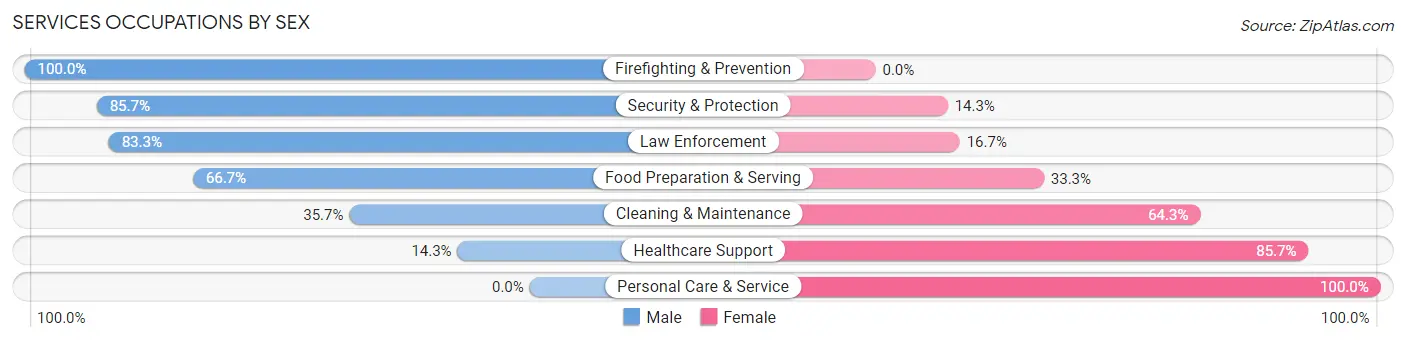 Services Occupations by Sex in New Lisbon