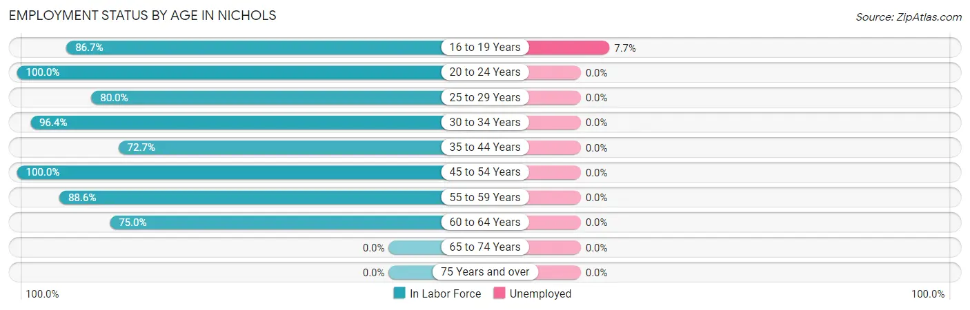 Employment Status by Age in Nichols
