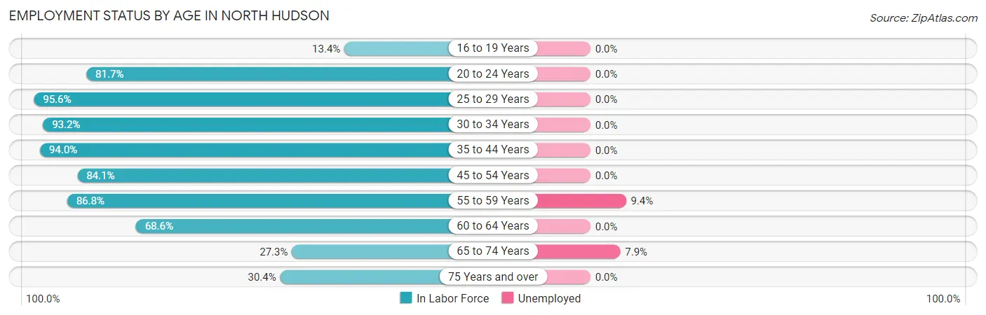 Employment Status by Age in North Hudson
