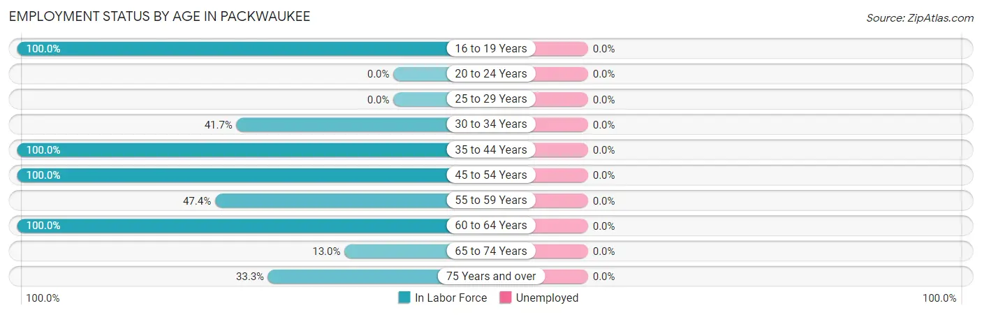 Employment Status by Age in Packwaukee
