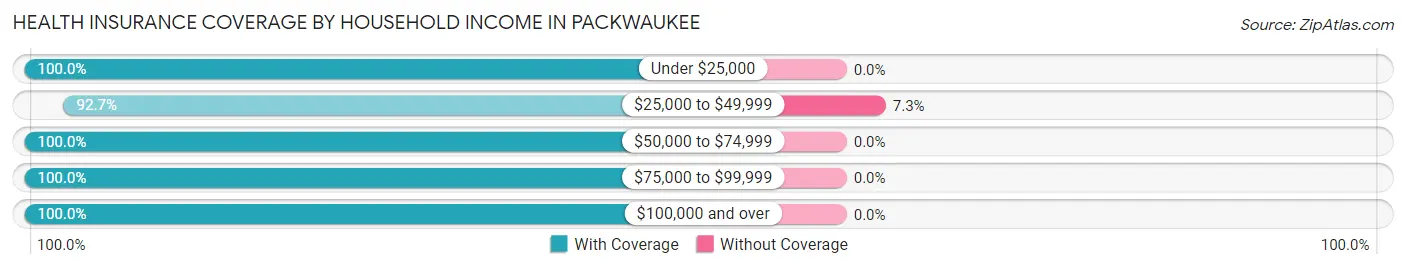 Health Insurance Coverage by Household Income in Packwaukee