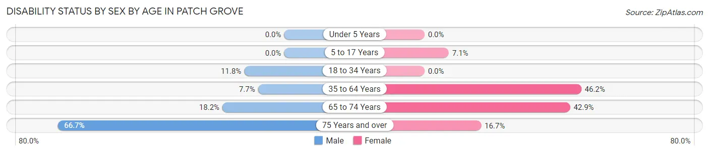 Disability Status by Sex by Age in Patch Grove