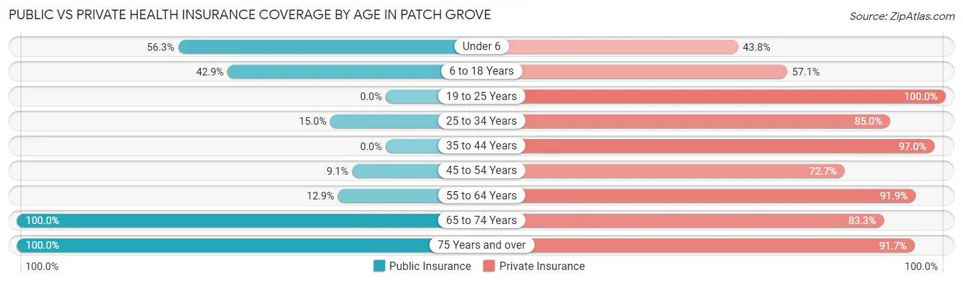 Public vs Private Health Insurance Coverage by Age in Patch Grove