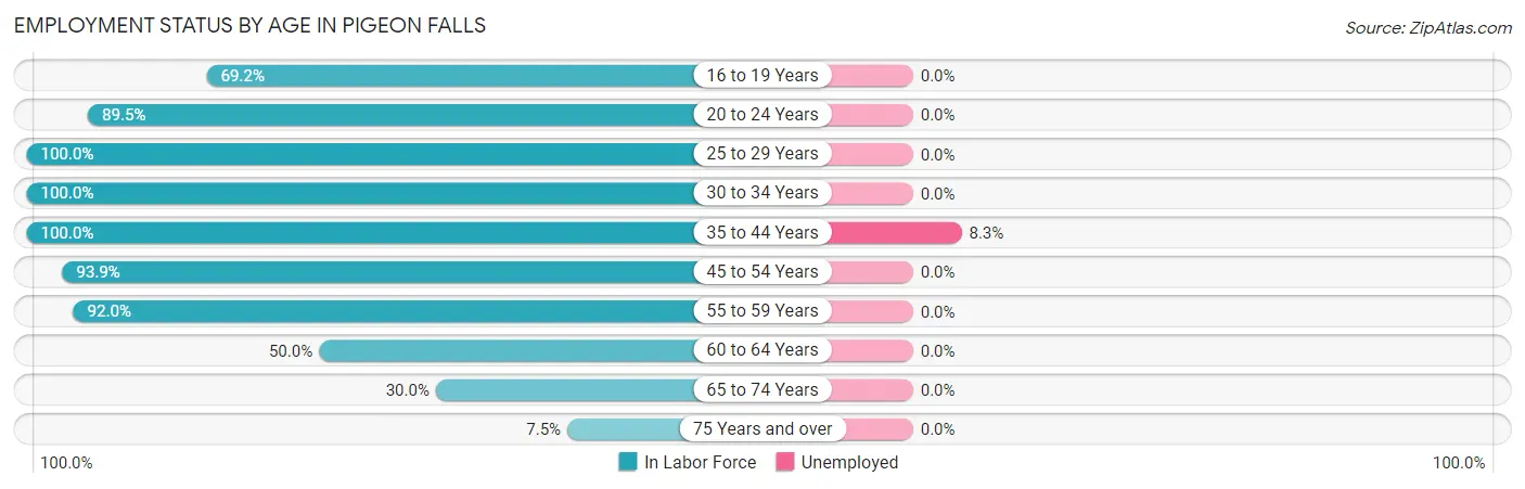 Employment Status by Age in Pigeon Falls