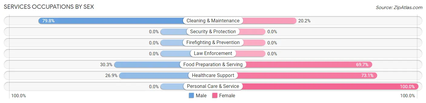 Services Occupations by Sex in Rice Lake