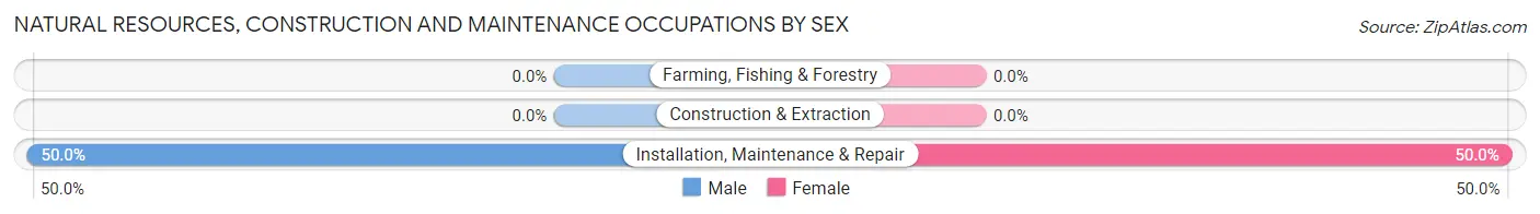 Natural Resources, Construction and Maintenance Occupations by Sex in River Hills