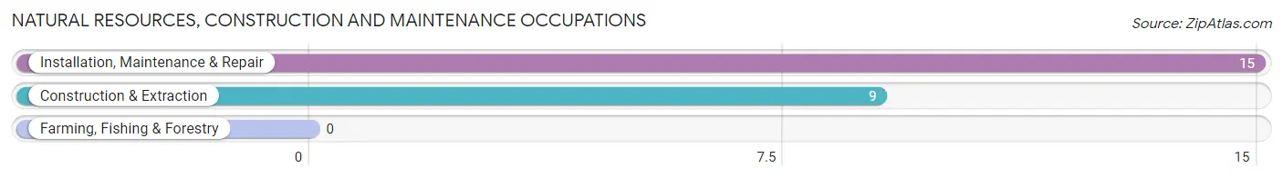 Natural Resources, Construction and Maintenance Occupations in Rome